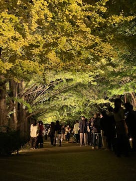 国営昭和記念公園 秋の夜散歩に投稿された画像（2022/11/3）