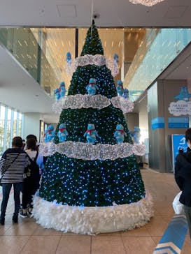 ハルカス300(展望台)に投稿された画像（2022/11/3）