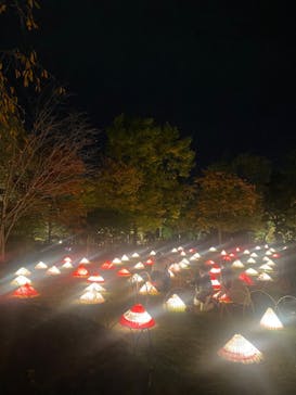 国営昭和記念公園 秋の夜散歩に投稿された画像（2022/11/3）