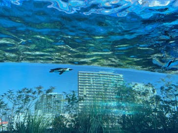 サンシャイン水族館に投稿された画像（2022/11/3）