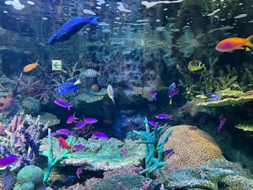 サンシャイン水族館に投稿された画像（2022/11/3）