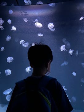 サンシャイン水族館に投稿された画像（2022/11/3）