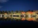 国営昭和記念公園 秋の夜散歩に投稿された画像（2022/11/3）