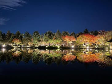 国営昭和記念公園 秋の夜散歩に投稿された画像（2022/11/3）