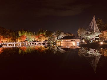 国営昭和記念公園 秋の夜散歩に投稿された画像（2022/11/3）