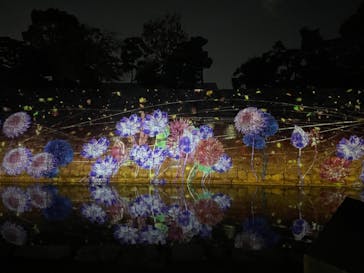 NAKED FLOWERS 2022 秋 世界遺産・二条城に投稿された画像（2022/11/3）