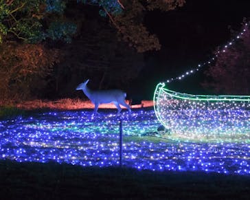 ムーミンバレーパークに投稿された画像（2022/11/3）