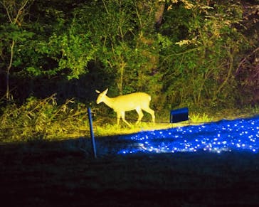 ムーミンバレーパークに投稿された画像（2022/11/3）