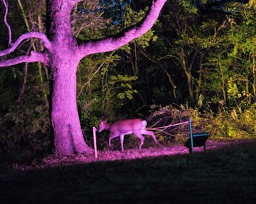 ムーミンバレーパークに投稿された画像（2022/11/3）
