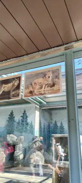 天王寺動物園に投稿された画像（2022/11/3）