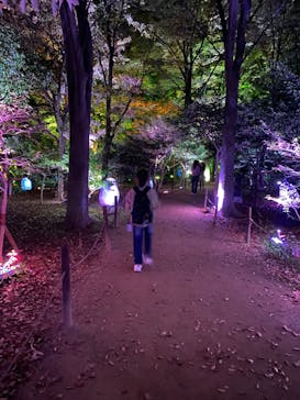 チームラボ ボタニカルガーデン 大阪に投稿された画像（2022/11/3）