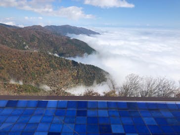 びわ湖バレイに投稿された画像（2022/11/3）