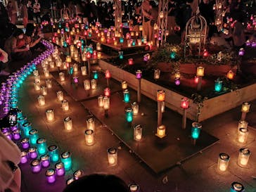 江の島シーキャンドルに投稿された画像（2022/11/3）