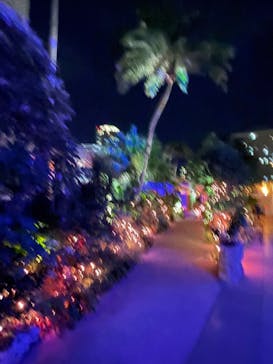 サンシャイン水族館に投稿された画像（2022/11/3）