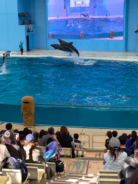 横浜・八景島シーパラダイスに投稿された画像（2022/11/3）