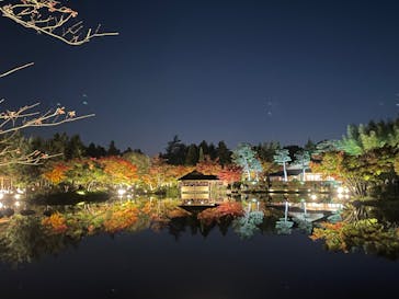 国営昭和記念公園 秋の夜散歩に投稿された画像（2022/11/3）