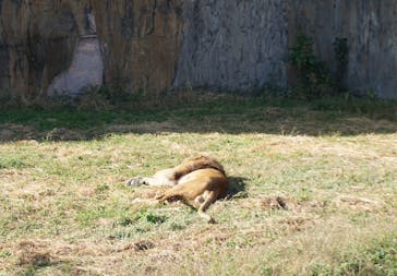 九十九島動植物園森きららに投稿された画像（2022/11/3）