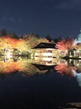 国営昭和記念公園 秋の夜散歩に投稿された画像（2022/11/3）