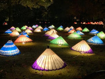 国営昭和記念公園 秋の夜散歩に投稿された画像（2022/11/3）