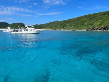 マリンクラブ ベリー 那覇店に投稿された画像（2022/11/3）