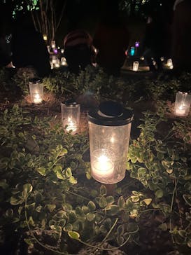 江の島シーキャンドルに投稿された画像（2022/11/3）