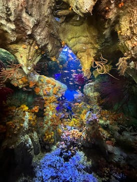 サンシャイン水族館に投稿された画像（2022/11/3）