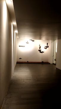 アクアイグニス片岡温泉に投稿された画像（2022/11/3）