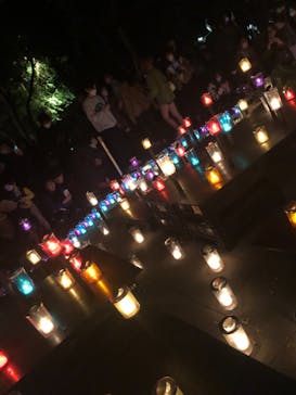 江の島シーキャンドルに投稿された画像（2022/11/3）