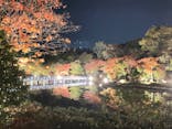 国営昭和記念公園 秋の夜散歩に投稿された画像（2022/11/3）