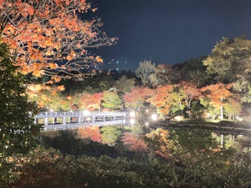 国営昭和記念公園 秋の夜散歩に投稿された画像（2022/11/3）