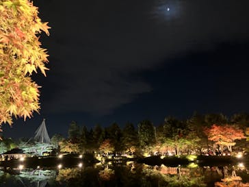 国営昭和記念公園 秋の夜散歩に投稿された画像（2022/11/3）