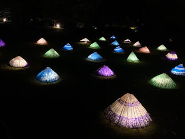 国営昭和記念公園 秋の夜散歩に投稿された画像（2022/11/3）