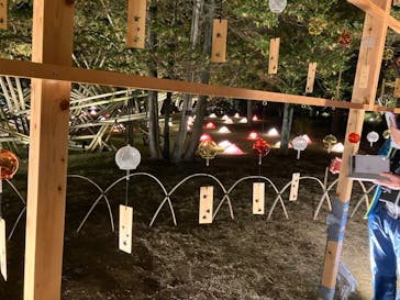 国営昭和記念公園 秋の夜散歩に投稿された画像（2022/11/3）