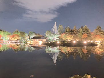 国営昭和記念公園 秋の夜散歩に投稿された画像（2022/11/3）