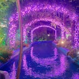 ひらかたパークに投稿された画像（2022/11/4）