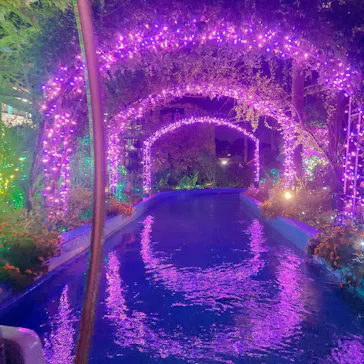 ひらかたパークに投稿された画像（2022/11/3）