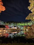 国営昭和記念公園 秋の夜散歩に投稿された画像（2022/11/4）
