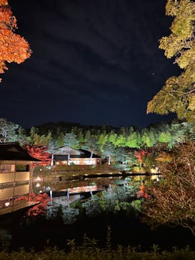 国営昭和記念公園 秋の夜散歩に投稿された画像（2022/11/3）