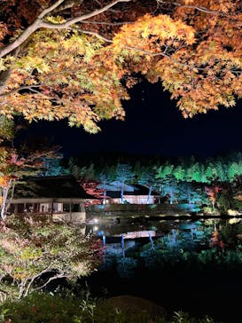 国営昭和記念公園 秋の夜散歩に投稿された画像（2022/11/3）