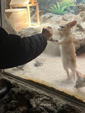 伊豆シャボテン動物公園に投稿された画像（2022/11/3）