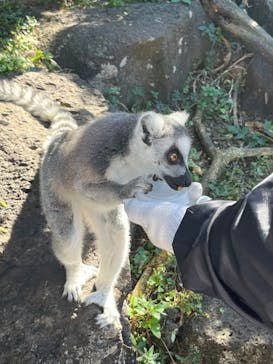 伊豆シャボテン動物公園に投稿された画像（2022/11/3）
