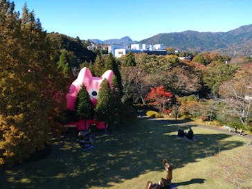 彫刻の森美術館に投稿された画像（2022/11/3）