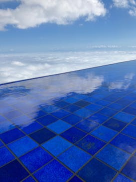 びわ湖バレイに投稿された画像（2022/11/3）