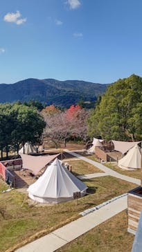 いばらきフラワーパークに投稿された画像（2022/11/3）