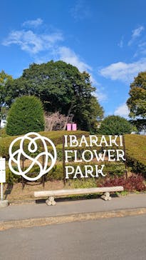 いばらきフラワーパークに投稿された画像（2022/11/3）