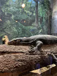 天王寺動物園に投稿された画像（2022/11/4）