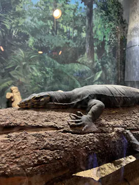 天王寺動物園に投稿された画像（2022/11/3）