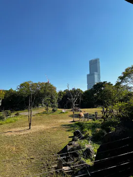 天王寺動物園に投稿された画像（2022/11/3）
