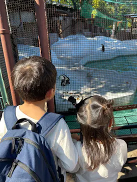 天王寺動物園に投稿された画像（2022/11/3）