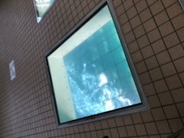 徳島県立 渦の道に投稿された画像（2022/11/3）